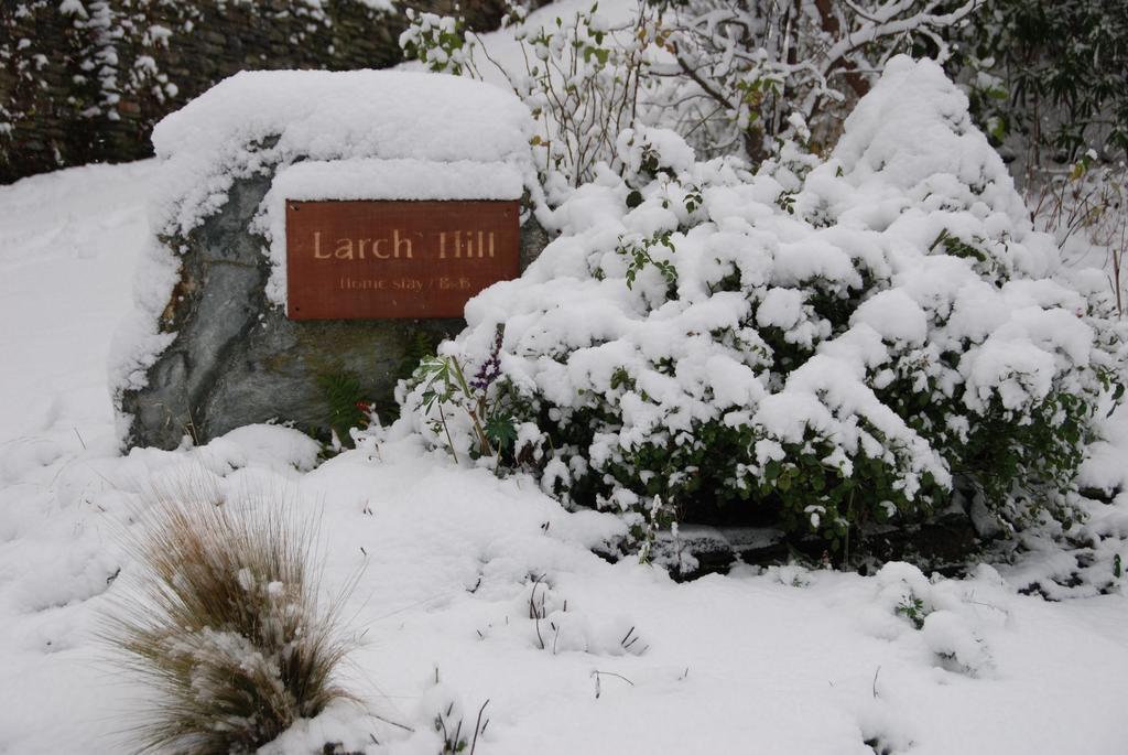 Larch Hill Bed & Breakfast Queenstown Zewnętrze zdjęcie